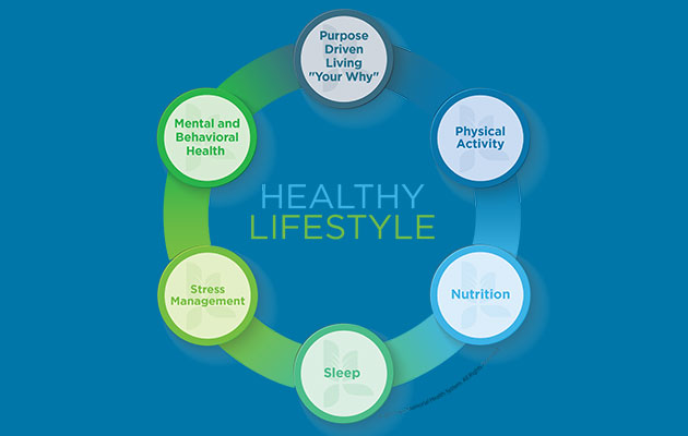 Wellness Wheel