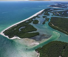Red Tide beach mapping
